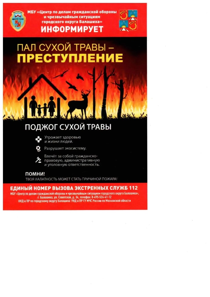 d217629b-a7af-4121-8796-50afa3921058.jpg